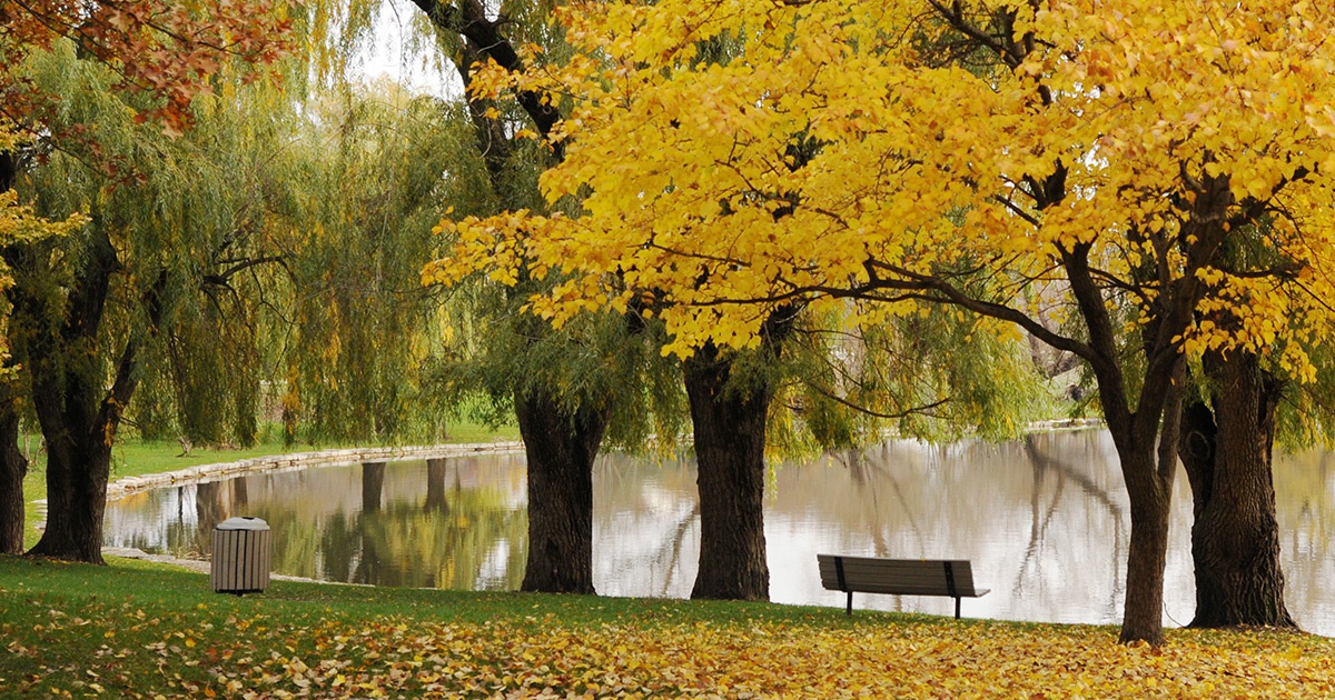 Feature Image North Pond Neighborhood